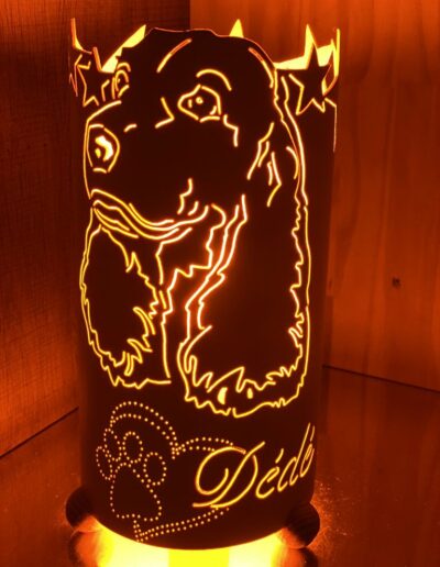 13 Lampes Personnalisees